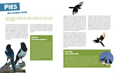 Sociétés animales