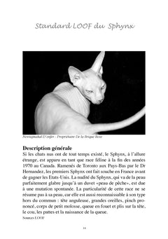 Le sphynx