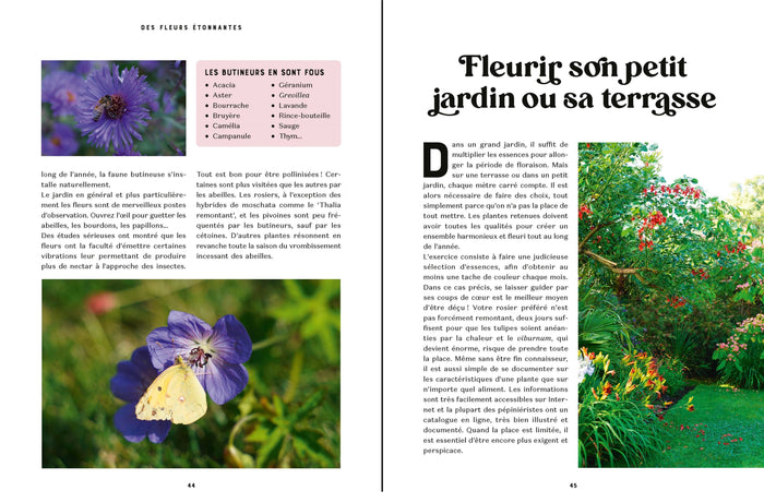 Des fleurs toutes l'année - Les conseils et les plantes pour un beau jardin aux floraisons généreuses