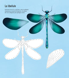 Mon beau livre de la nature