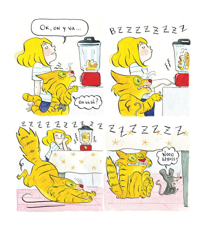 Tambouille et gribouille : le super gâteau