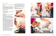 J'apprends à toiletter mon chien