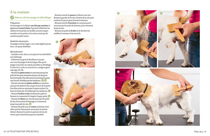 J'apprends à toiletter mon chien