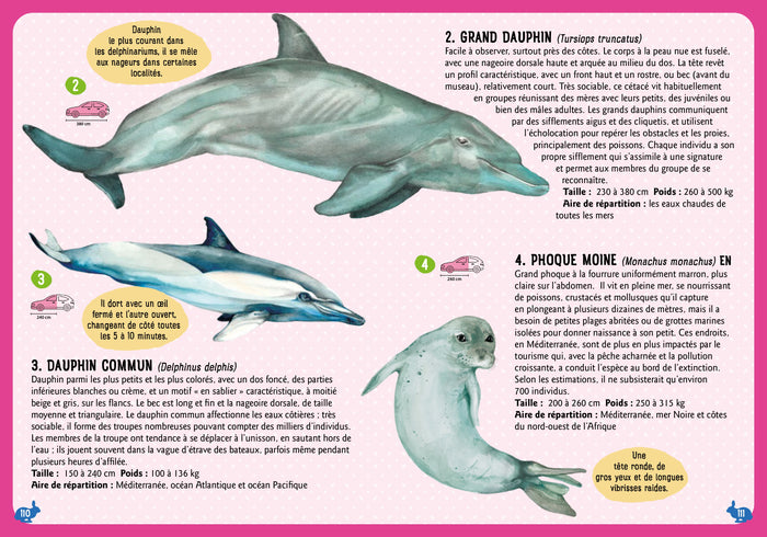 Guide des mammifères du monde