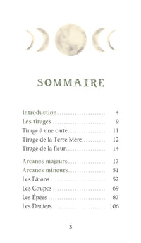 Le Tarot de la fille de la terre