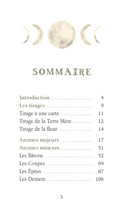 Le Tarot de la fille de la terre