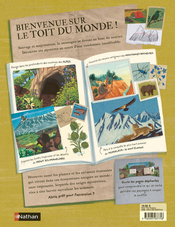 Il y a une montagne dans ce livre