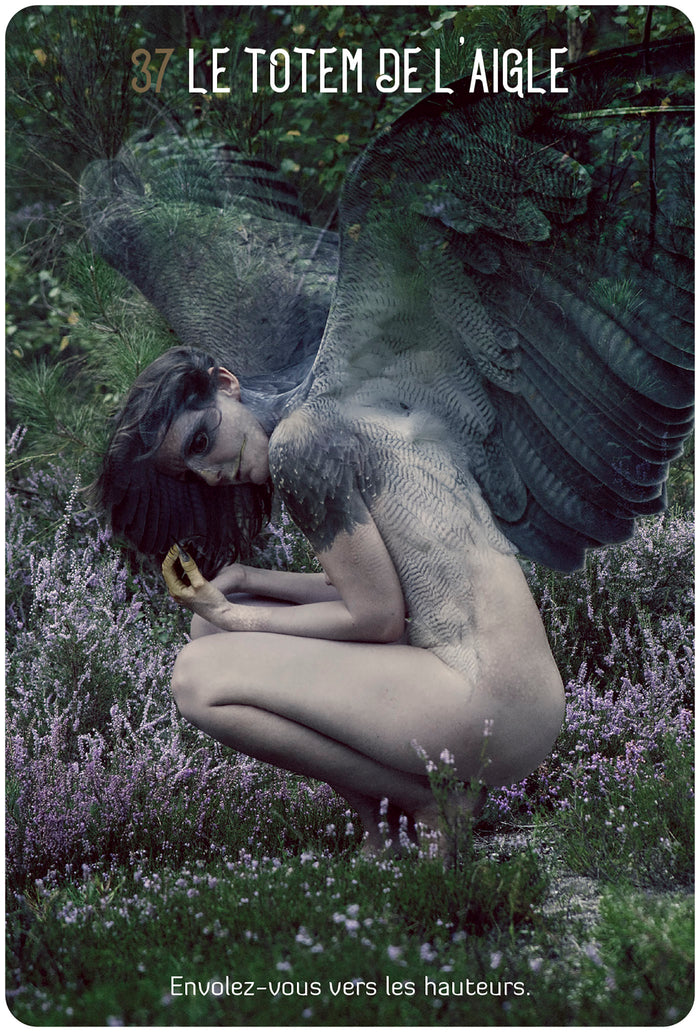 L'Oracle des chamanes Lumière