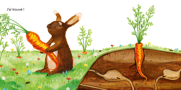 C'est quoi une carotte ?