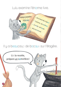 Mystère au château
