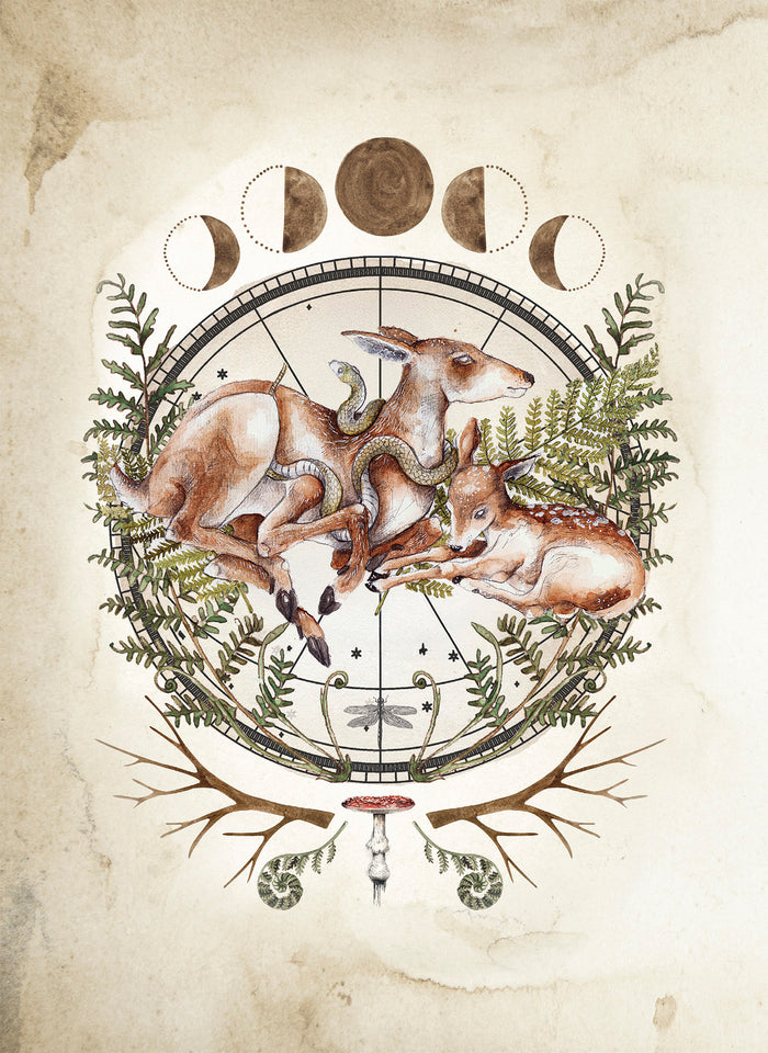 Le Forestarium - Mythes, légendes et explorations au coeur de la forêt