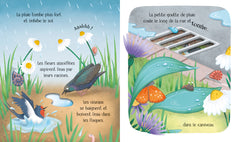 La goutte de pluie - Le cycle de la vie