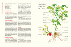 Le Conservatoire de la Tomate - Savoir-faire de La Bourdaisière &middot; 50 variétés à cultiver