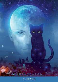 Coffret Oracle des chats fantasy