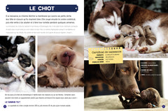Mon grand animalier des bébés animaux