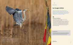 Notre jardin extraordinaire T02
