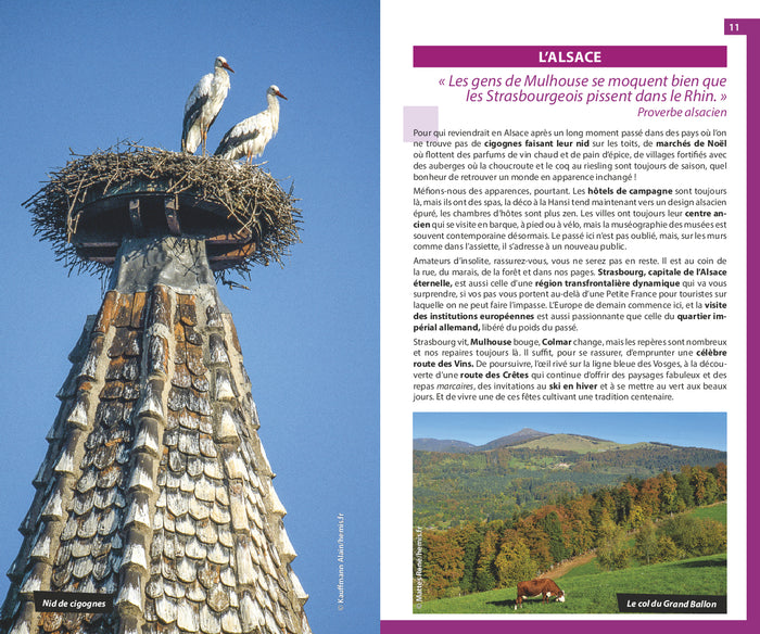 Guide du Routard Alsace 2025/26