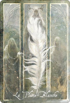 L'Oracle des Oiseaux messagers