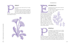 Remèdes naturels pour tous les maux du quotidien