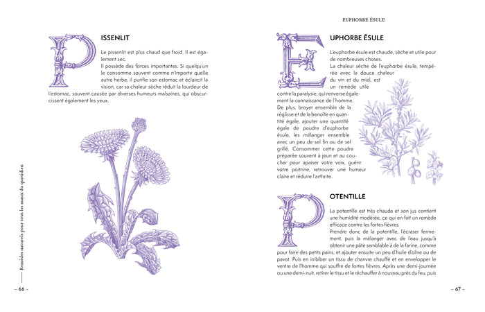Remèdes naturels pour tous les maux du quotidien