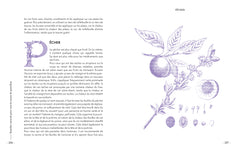 Remèdes naturels pour tous les maux du quotidien