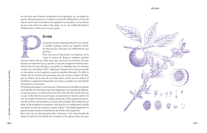 Remèdes naturels pour tous les maux du quotidien