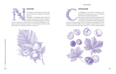 Remèdes naturels pour tous les maux du quotidien