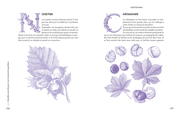 Remèdes naturels pour tous les maux du quotidien