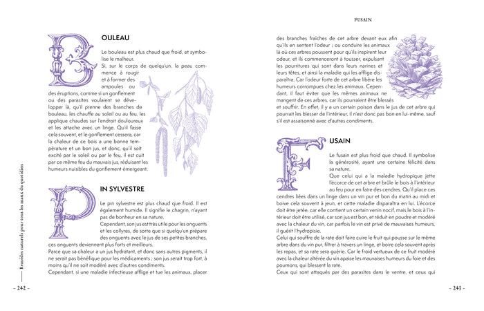 Remèdes naturels pour tous les maux du quotidien