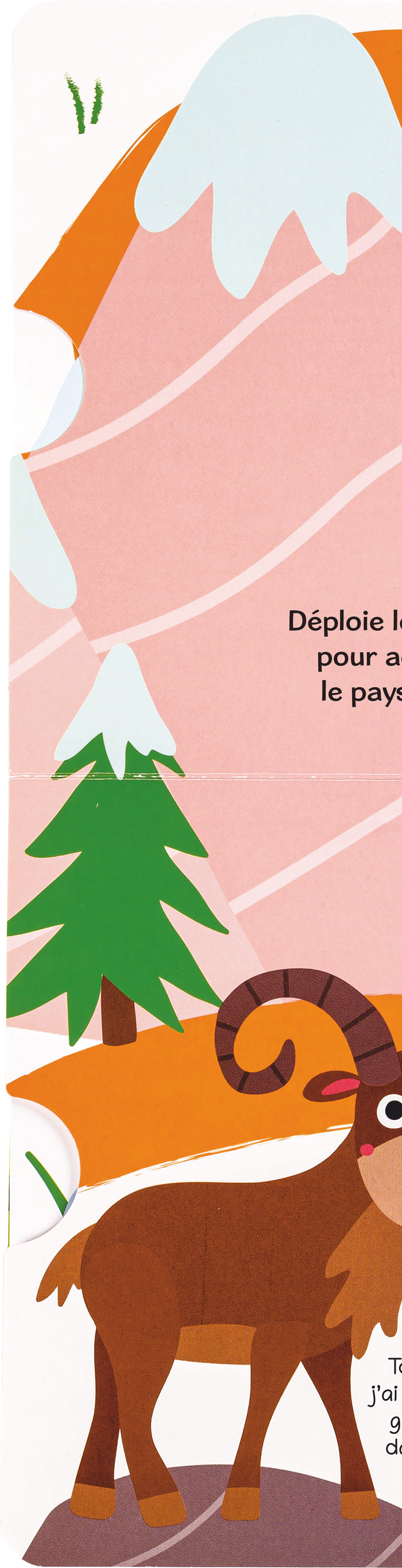 Où es-tu petit ourson  ?