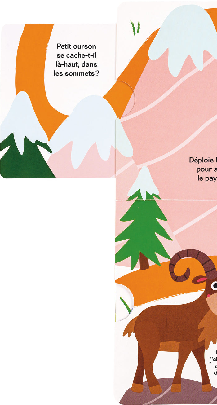 Où es-tu petit ourson  ?