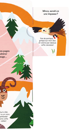 Où es-tu petit ourson  ?