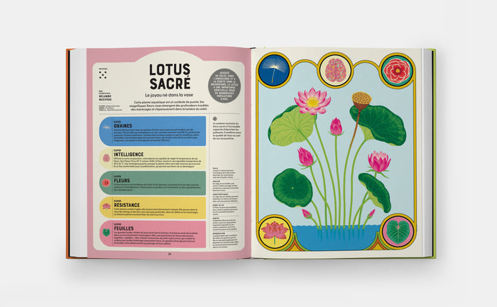 Superplantes superpouvoirs