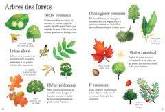 Mon petit guide de la nature - Dès 6 ans
