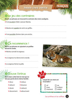 Cahier de vacances UNE SAISON AU ZOO CM1-CM2