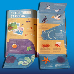 Les Océans