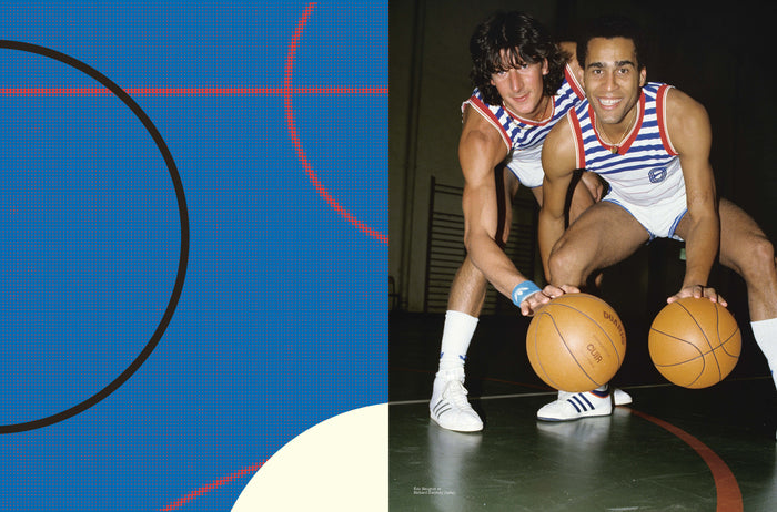 L'équipe de France de basketball