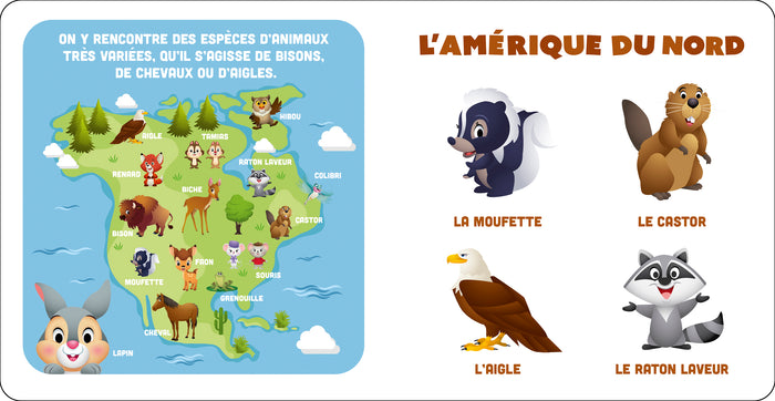 Mes premiers imagiers - Les animaux du monde