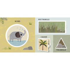 Bébé découvre - Savane