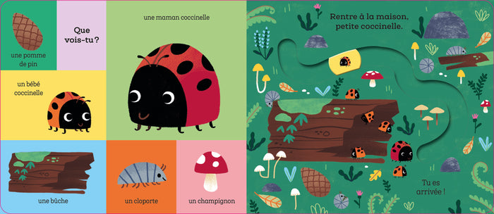 Suis le chemin petite abeille