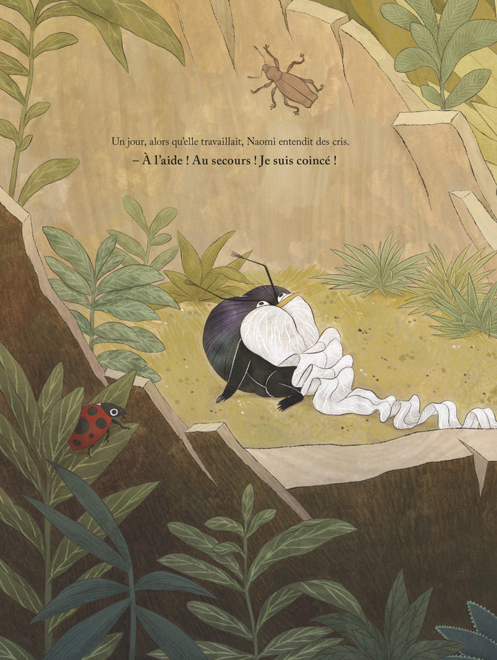 Naomi et le gnome des forêts