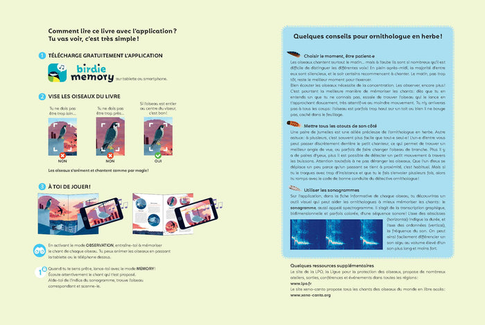 Ecoute les oiseaux des villes