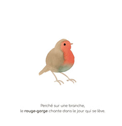 Mon imagier à raconter - Les Petites Bêtes