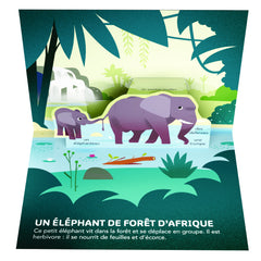 Animaux de la jungle