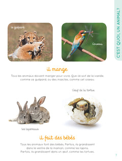 Mon imagier de tous les animaux NE