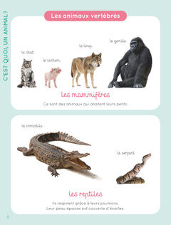 Mon imagier de tous les animaux NE