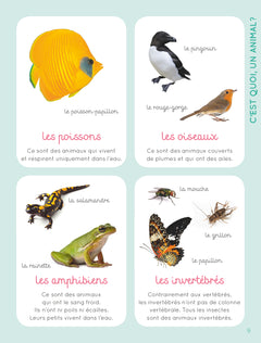 Mon imagier de tous les animaux NE