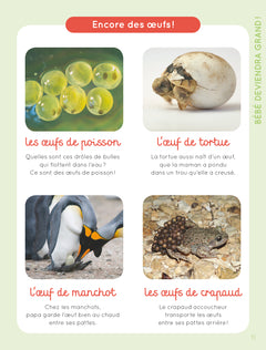 Mon imagier de tous les animaux NE