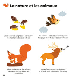 Les saisons