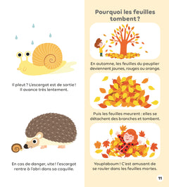 Les saisons